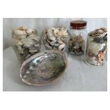 Large Assortment of Seashells