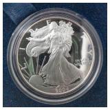 2004 Silver American Eagle One Dollar Coin -w/specification sheet & case