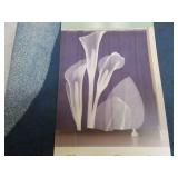 Laural Home Indigo Xray Calla Lilie...