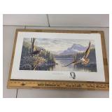 Building The Future Osprey Art Print by Frank Mittelstadt