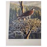 Building The Future Osprey Art Print by Frank Mittelstadt