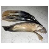 Vintage Bird-Carved Horn Pair - Handcrafted Decorative Horn Sculptures