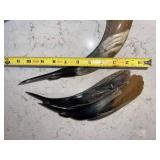 Vintage Bird-Carved Horn Pair - Handcrafted Decorative Horn Sculptures