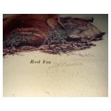 Dyna-Graphics Corp Red Fox Print - Framed Wildlife Wall Art for Home or Office Decor