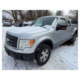 2009 Ford F-150 FX4 4x4