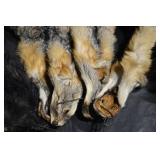 Fur Pelts - Assorted Hides in Black, Gray, Tan & Brown for Crafting