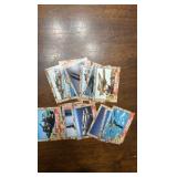 Desert Storm Trading Cards, 16 Cards Total