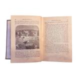 Indian Horrors or Massacres by the Red Men - Henry Davenport Northrop, D.D. - National Publishing Co.
