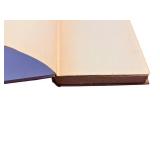 Will Rogers: The Story of His Life Told by His Wife - Garden City Publishing