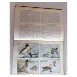 The Book of Birds - Common Birds of Town and Country & American Game Birds