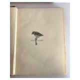 Bird Homes by A. Radclyffe Dugmore (1909) - Nests, Eggs & Breeding Habits