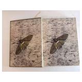 Moths of the Limberlost - Gene Stratton-Porter, 1912, Doubleday, Page & Company