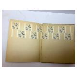 Some One Like You - James W. Foley, P.F. Volland Company