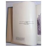 Portfolio of the World