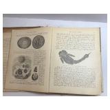 The Living World: A Complete Natural History of Fishes, Reptiles, Insects, Birds & Mammals