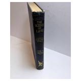 The Science of Life - Vol. 1 - UK Edition - Amalgamated Press