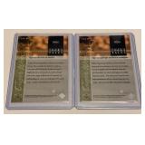 (2) Tiger Woods Tiger