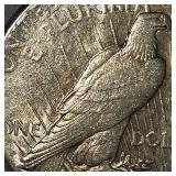 1922 S Peace Dollar $1 VG w/Toning
