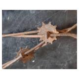 Antique Lot of wooden Boxes, Rare Barbed Wire and More!!