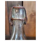 Group of rare Soda Pop Bottles and Nesbitt 6 Pack Carry Case