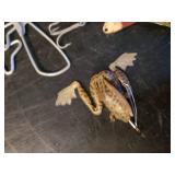 Fantastic Group of Fishing Lures and Spearing Decoys in beautiful Wood Box