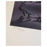 Never Hung Collection of Wildlife Prints - With Paperwork