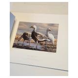 Never Hung Collection of Wildlife Prints - With Paperwork