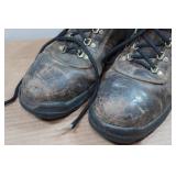 Irish Setter Ely Men