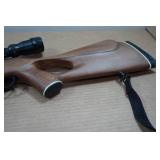 Benjamin Trail NP XL .22 Cal Air Pellet Rifle with Center Point 3-9 x 40AO Scope