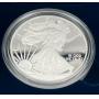U.S. Mint 2020-W American Eagle One Ounce Silver Proof Coin w/ COA