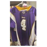 Minnesota Vikings, Brett Favre official On Field NFL Reebok Jersey