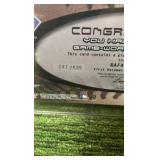 2002 Flair Jumbo Sweet Swatch Raphael Palmeiro, Texas Rangers, authentic game worn numbered /535