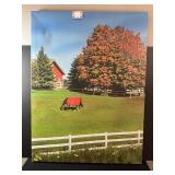 Signed 40x30 Barn and Horse Framed Canvas Photo Artwork by Byron 2016