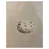 Framed Ecclesiastes 3:1-8 Art Print and Collectible 