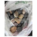 Collection of Vintage Powder Horns, Shells, Stones, and Brass Powder Flask