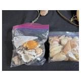 Collection of Vintage Powder Horns, Shells, Stones, and Brass Powder Flask