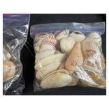 Collection of Vintage Powder Horns, Shells, Stones, and Brass Powder Flask