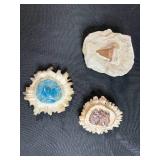 Collection of 3 Fossils with Tooth and Ammonite Designs
