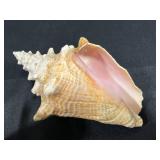 Collection of Nautical Decor Items - Mary Rose Glass Ship, Conch Shell, Sea Horse Embedment