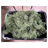 Artificial Pine Garland with Lights in Storage Tote