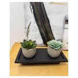2 Abstract Canvas Art Pieces with Faux Succulents, Display Stands and Wooden Storage Cube w Fabric Containers