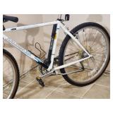 Raleigh Mountain Bike