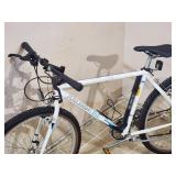 Raleigh Mountain Bike