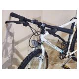 Raleigh Mountain Bike