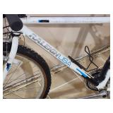 Raleigh Mountain Bike
