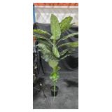 Faux Dieffenbachia Plant