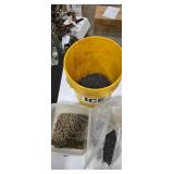 Assorted Bulk Screws Lot