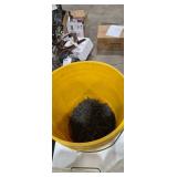 Assorted Bulk Screws Lot