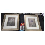 Botanical Prints, Scale & Hook Lot