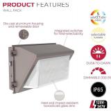 Lumark WP Outdoor LED Wall Light